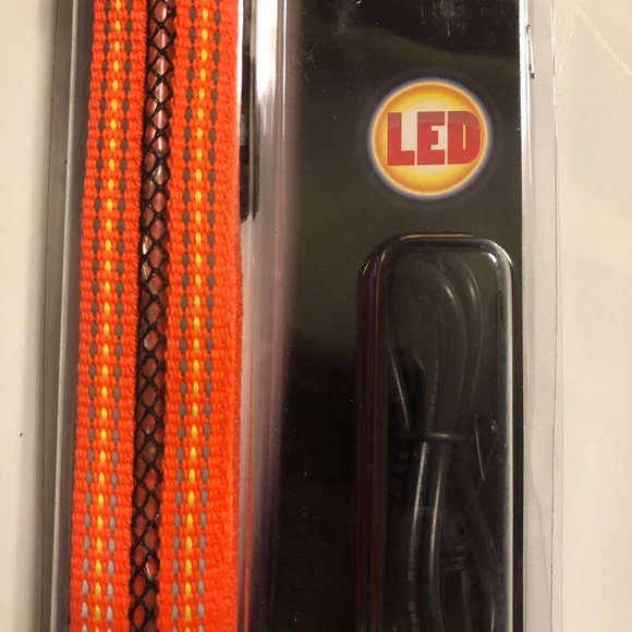 Zack & Zoey Fluorescent LED Dog Collar Orange - Picture 3 of 6